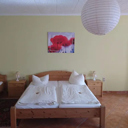 Hotel-pension Am Muehlberg 3*