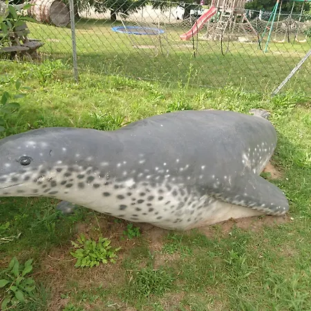 Ξενοδοχείο Hotel-pension Am Muehlberg