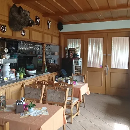 Hotel-Pension Am Muehlberg Hotel