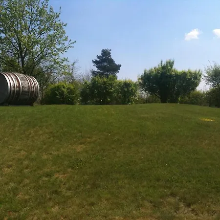 Hotel-pension Am Muehlberg 3* Люббенау