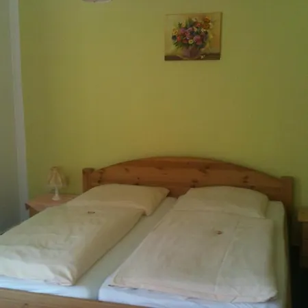 Hotel-pension Am Muehlberg 3*