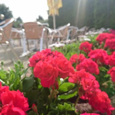 Hotel-Pension Am Muehlberg Luebbenau