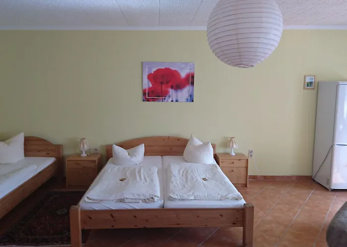 Hotel-Pension Am Muehlberg 3*