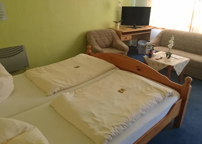 Hotel-Pension Am Muehlberg Hotell 3*