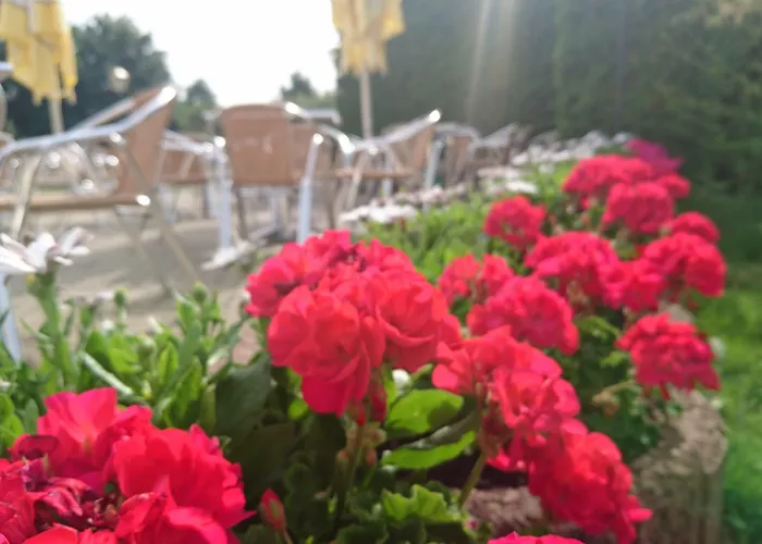 Hotell Hotel-Pension Am Muehlberg Lübbenau