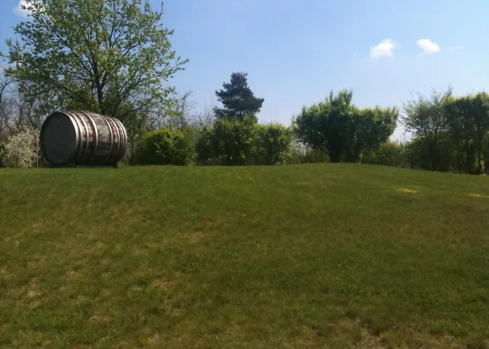 Hotel-Pension Am Muehlberg 3* Lübbenau